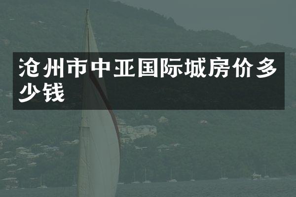 沧州市中亚国际城房价多少钱