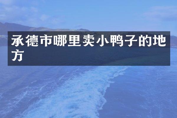 承德市哪里卖小鸭子的地方