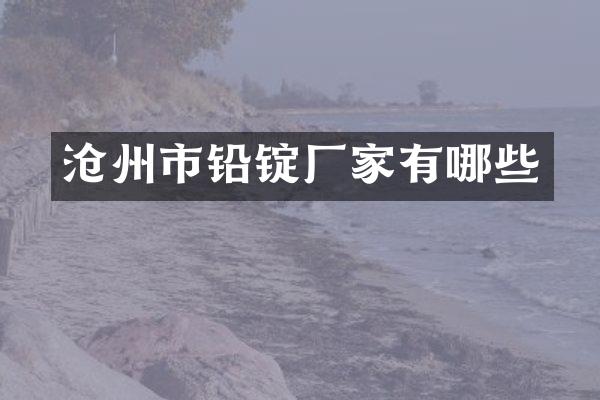 沧州市铅锭厂家有哪些