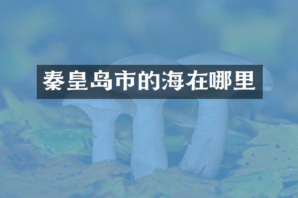 秦皇岛市的海在哪里