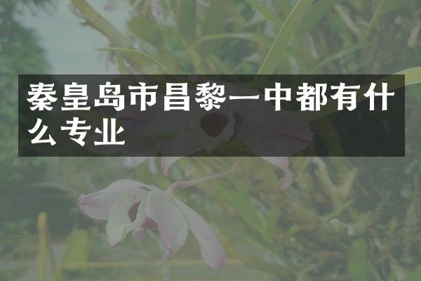 秦皇岛市昌黎一中都有什么专业