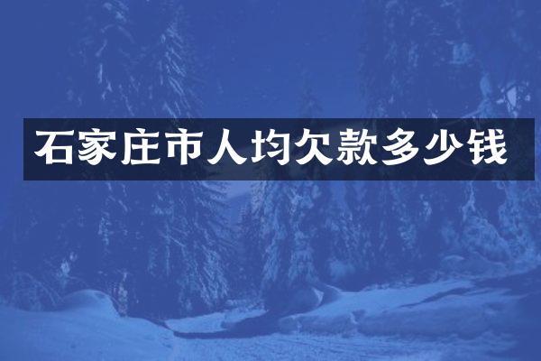 石家庄市人均欠款多少钱