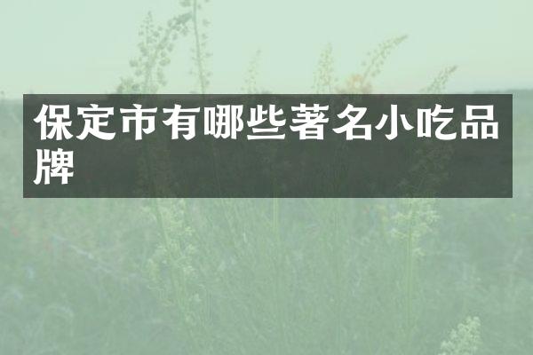 保定市有哪些著名小吃品牌