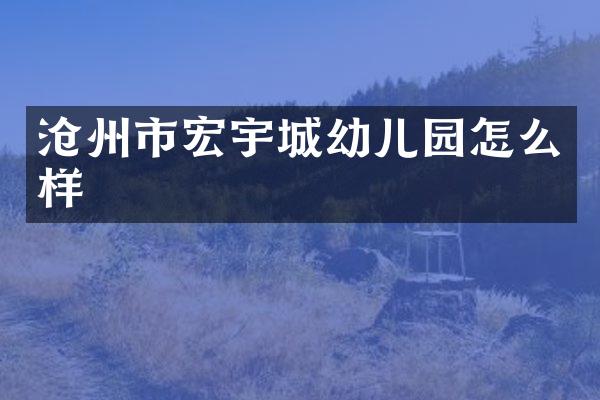 沧州市宏宇城幼儿园怎么样