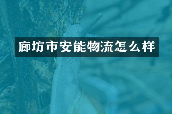 廊坊市安能物流怎么样