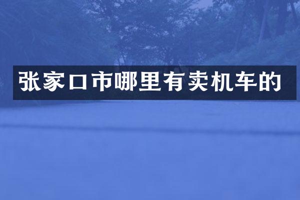 张家口市哪里有卖机车的