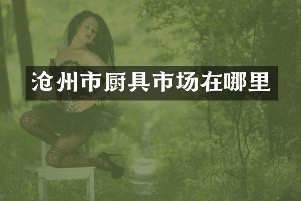 沧州市厨具市场在哪里