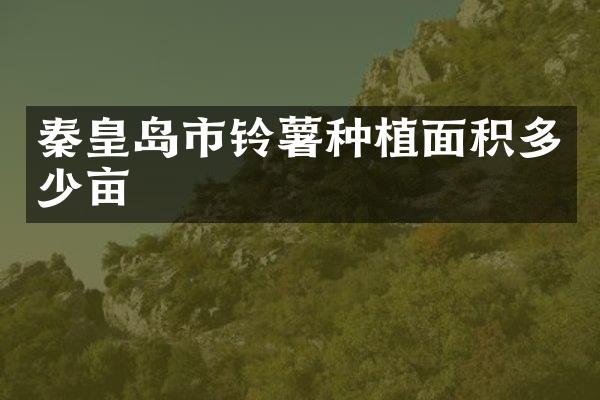 秦皇岛市铃薯种植面积多少亩