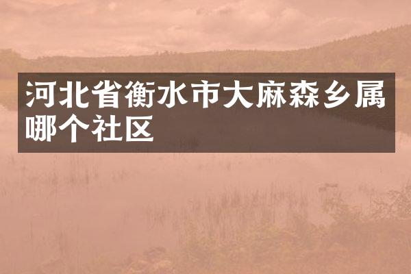 河北省衡水市大麻森乡属哪个社区