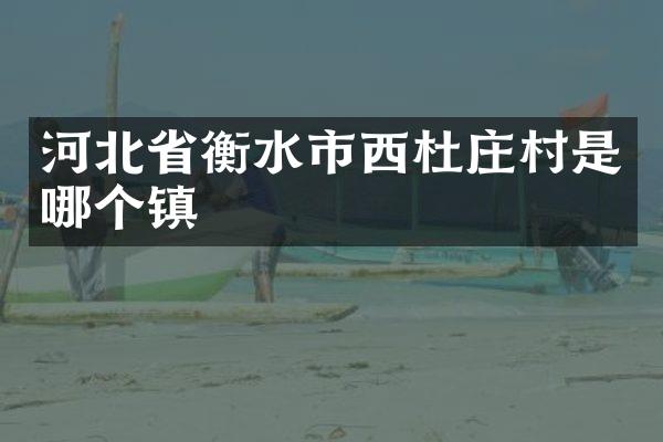 河北省衡水市西杜庄村是哪个镇
