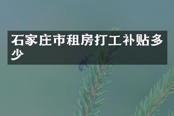石家庄市租房打工补贴多少