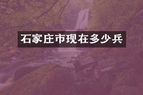 石家庄市现在多少兵