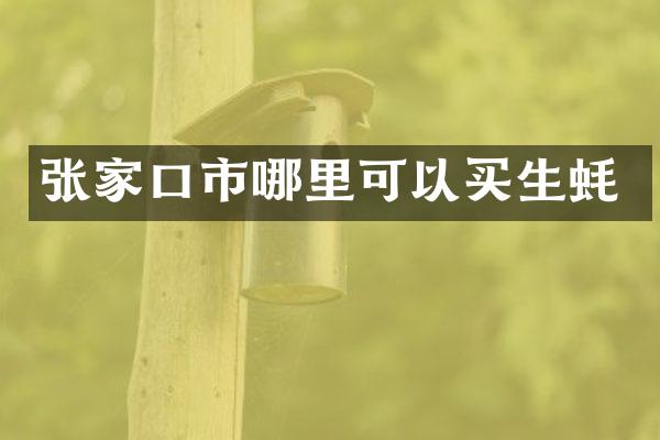张家口市哪里可以买生蚝