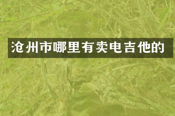 沧州市哪里有卖电吉他的