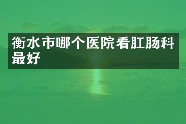 衡水市哪个医院看肛肠科最好