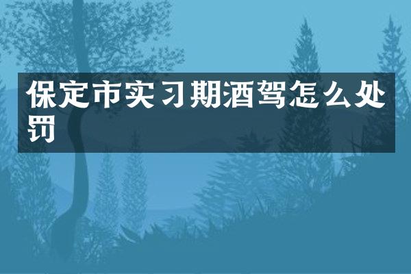 保定市实习期酒驾怎么处罚