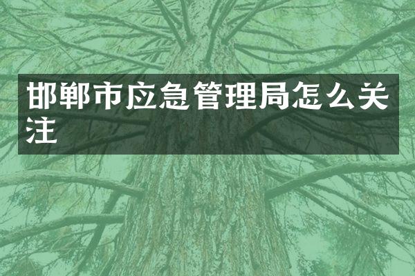 邯郸市应急管理局怎么关注