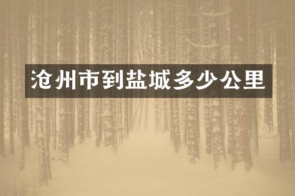 沧州市到盐城多少公里