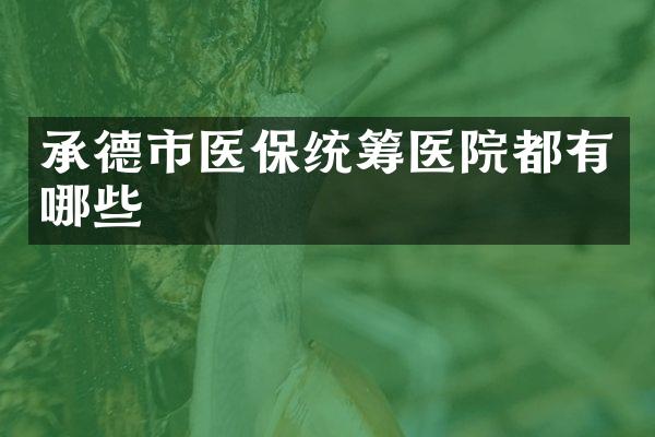 承德市医保统筹医院都有哪些