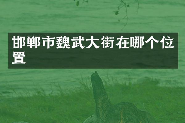 邯郸市魏武大街在哪个位置