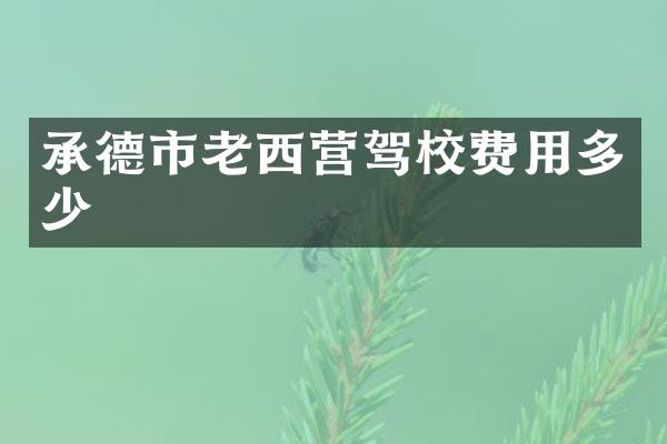 承德市老西营驾校费用多少