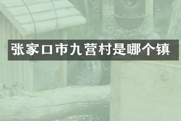 张家口市九营村是哪个镇