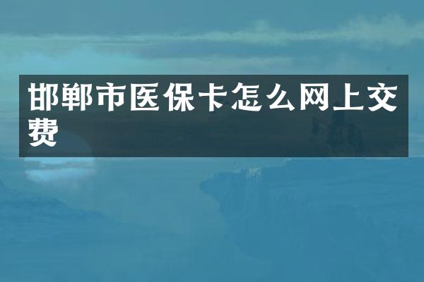邯郸市医保卡怎么网上交费