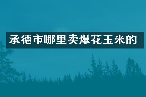 承德市哪里卖爆花玉米的
