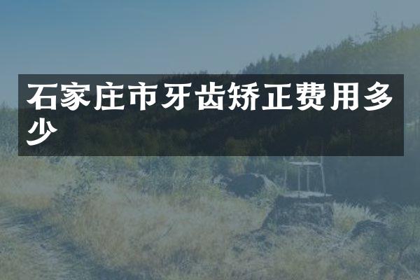 石家庄市牙齿矫正费用多少