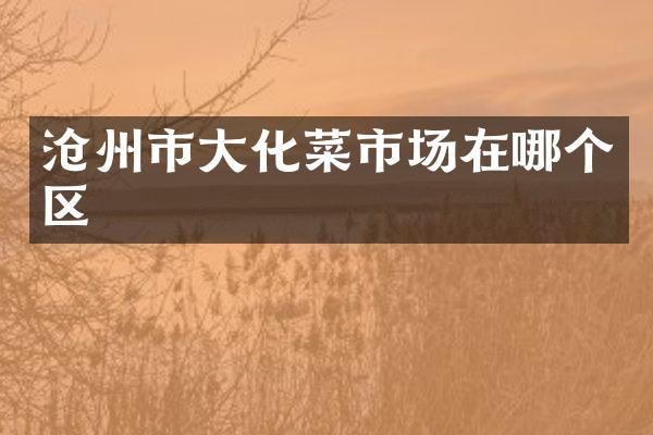 沧州市大化菜市场在哪个区