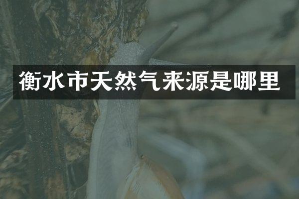 衡水市天然气来源是哪里