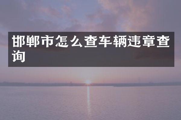 邯郸市怎么查车辆违章查询