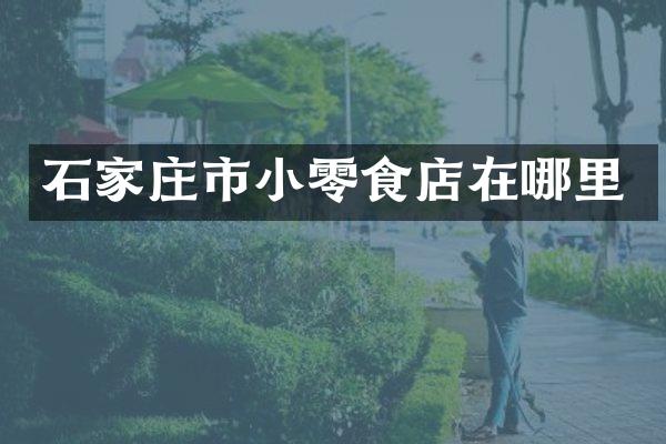 石家庄市小零食店在哪里