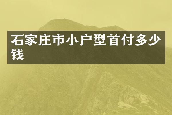 石家庄市小户型首付多少钱