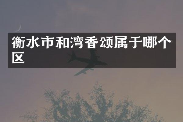 衡水市和湾香颂属于哪个区