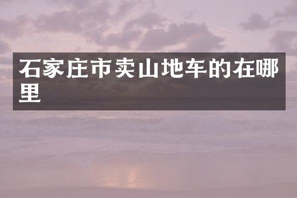 石家庄市卖山地车的在哪里