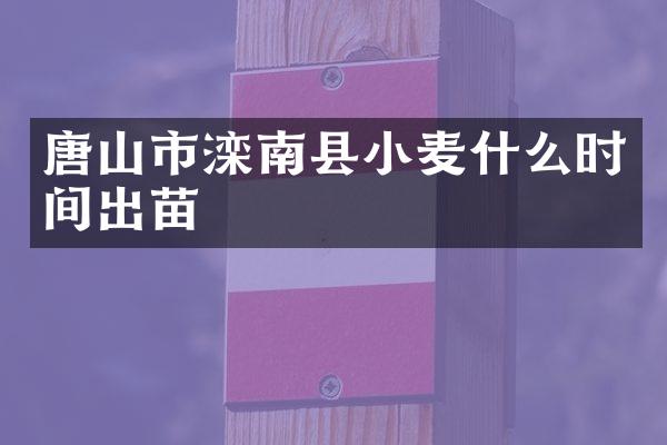 唐山市滦南县小麦什么时间出苗