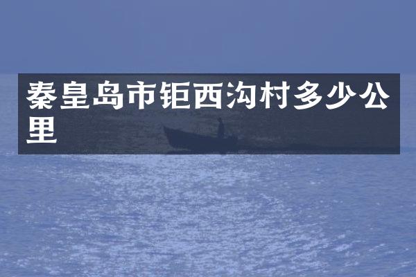 秦皇岛市钜西沟村多少公里