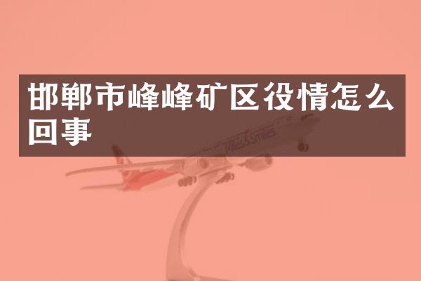 邯郸市峰峰矿区役情怎么回事
