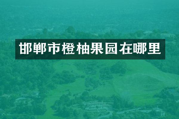 邯郸市橙柚果园在哪里
