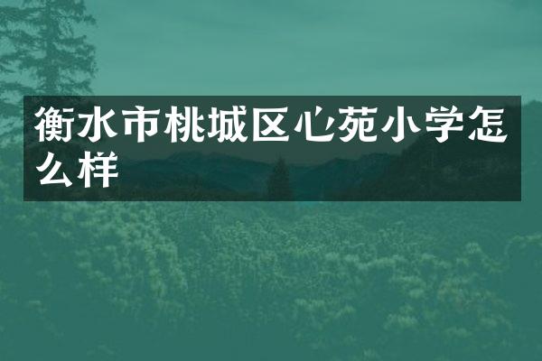 衡水市桃城区心苑小学怎么样