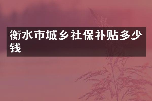衡水市城乡社保补贴多少钱