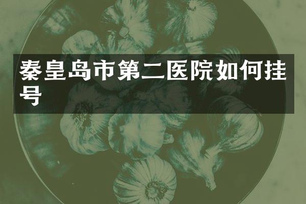 秦皇岛市第二医院如何挂号