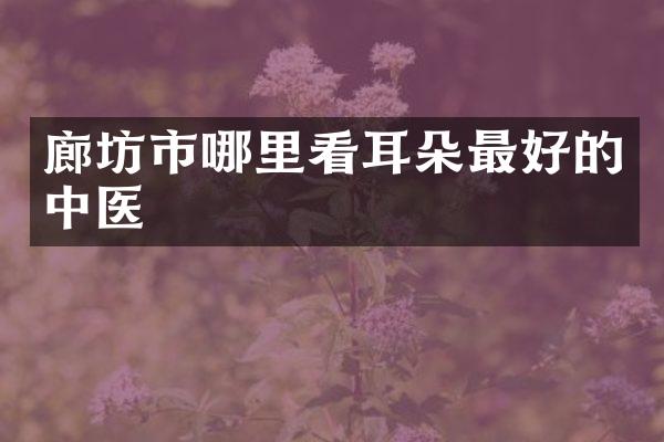 廊坊市哪里看耳朵最好的中医