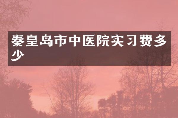 秦皇岛市中医院实习费多少