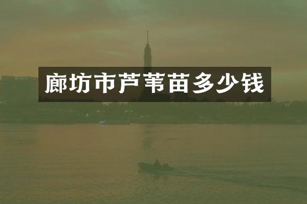 廊坊市芦苇苗多少钱