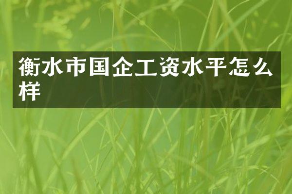 衡水市国企工资水平怎么样