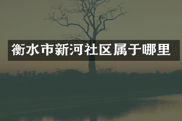 衡水市新河社区属于哪里