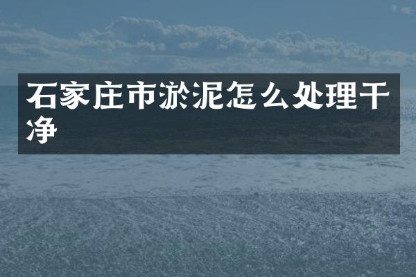 石家庄市淤泥怎么处理干净