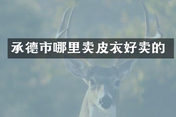 承德市哪里卖皮衣好卖的